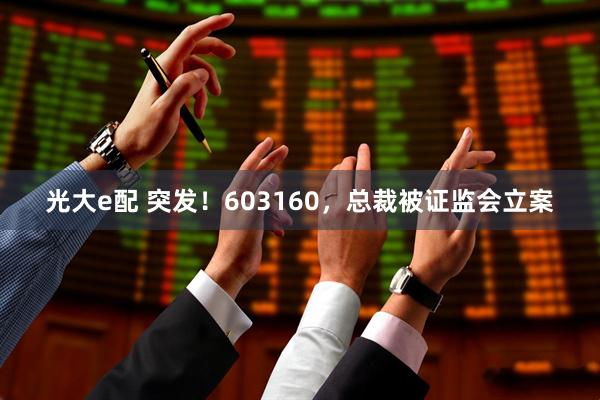 光大e配 突发！603160，总裁被证监会立案