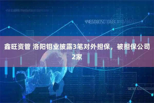 鑫旺资管 洛阳钼业披露3笔对外担保，被担保公司2家