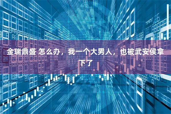 金瑞鼎盛 怎么办，我一个大男人，也被武安侯拿下了